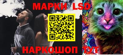 скорость Заводоуковск