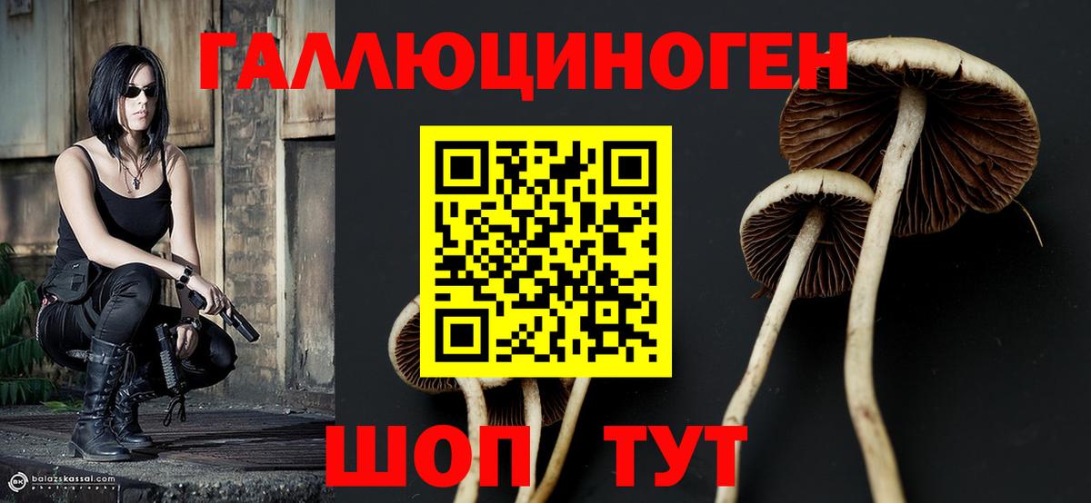 Галлюциногенные грибы Cubensis  Вход с VPN  Лысьва 